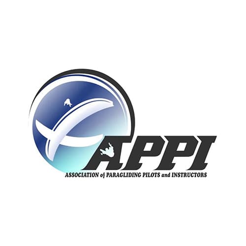 logo appi